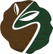 Shah Timber Limited Logo